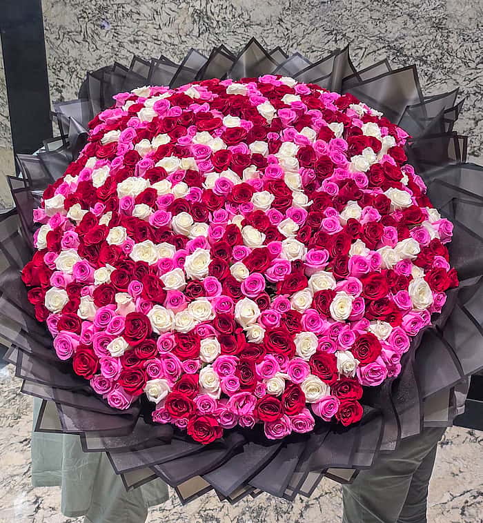 100 Roses | Flower Delivery in Dubai, Sharjah & Ajman | Same Day ...